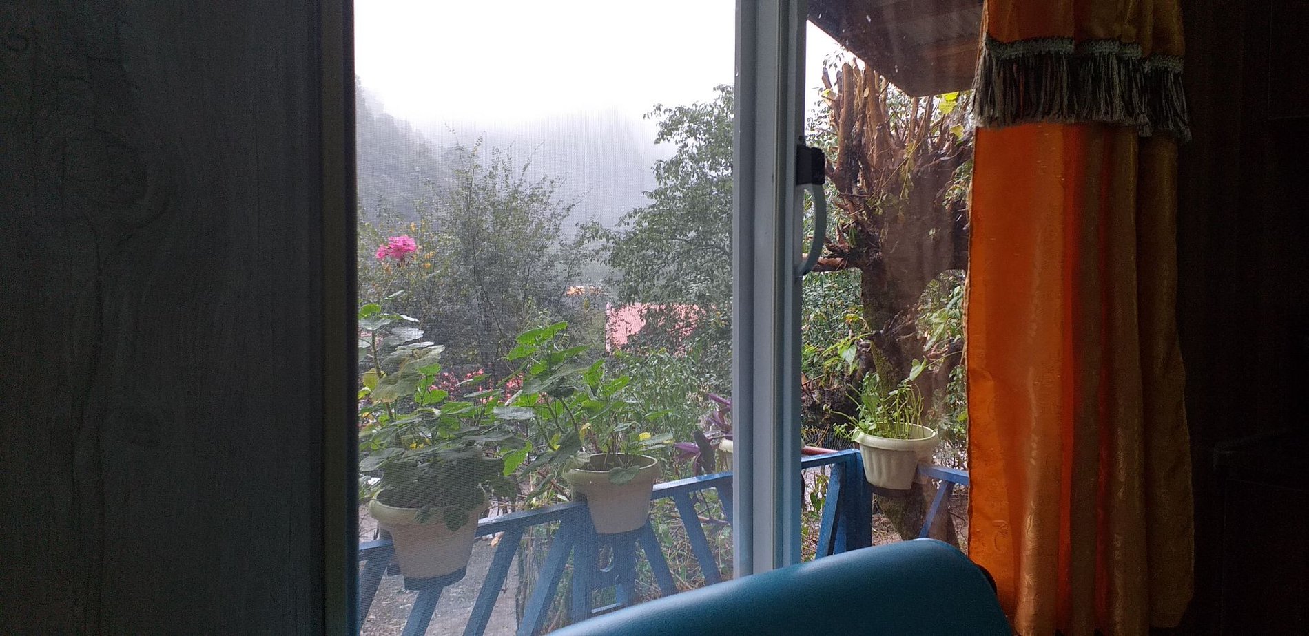 فلت جنگلی دلنشین