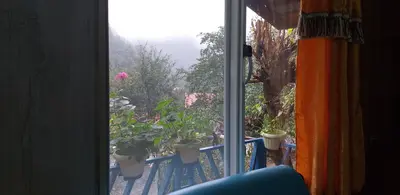 کلبه فلت جنگلی دلنشین