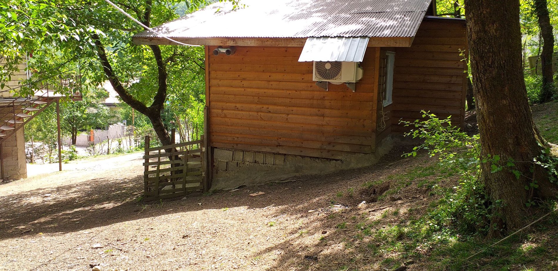 فلت جنگلی دلنشین