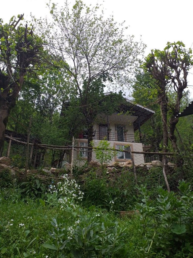 دوخوابه جنگلی سارینا