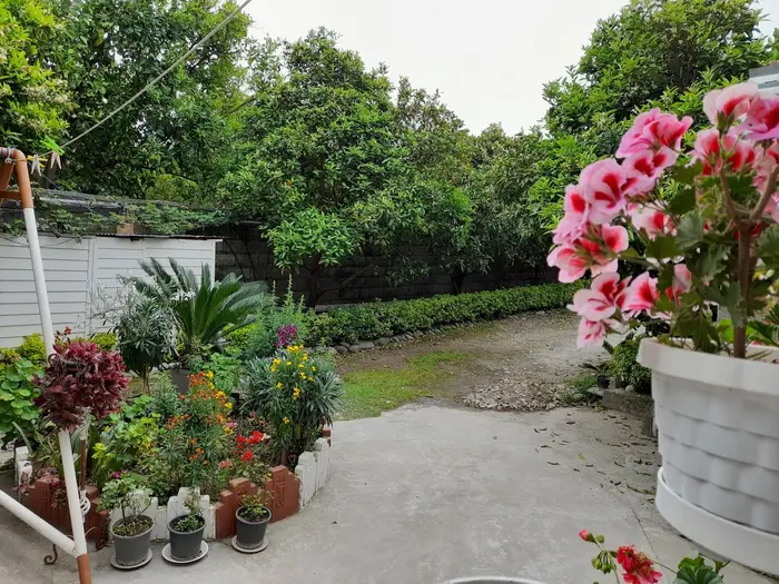 ویلا یک خوابه بهار نارنج