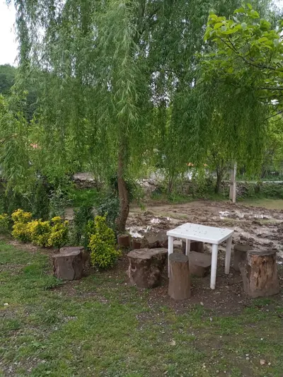 سوئیت دوخوابه درخت بیدلرزان