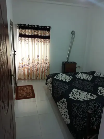 سوئیت دوخوابه درخت بیدلرزان