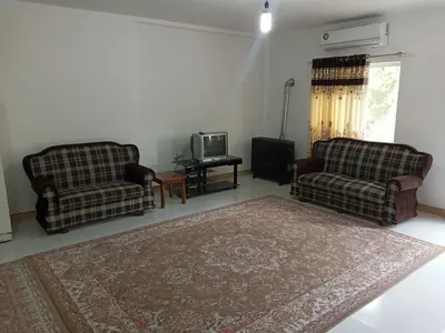 سوئیت دوخوابه درخت بیدلرزان