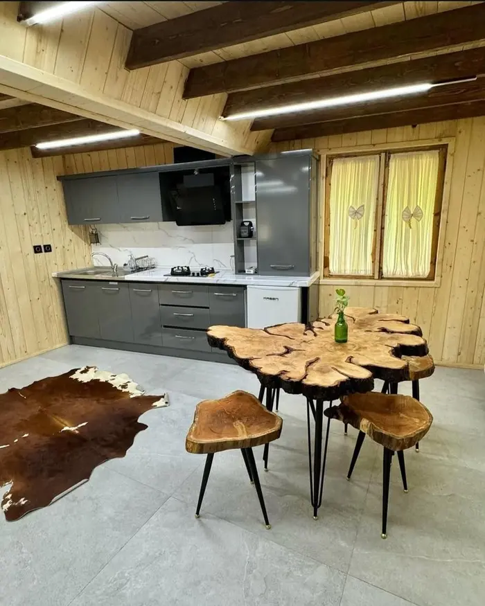 کلبه یک خوابه دوبلکس سوئیسی سنگی