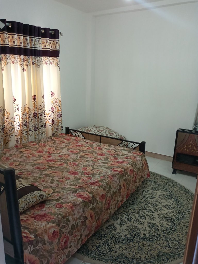 سوئیت دوخوابه درخت بیدلرزان