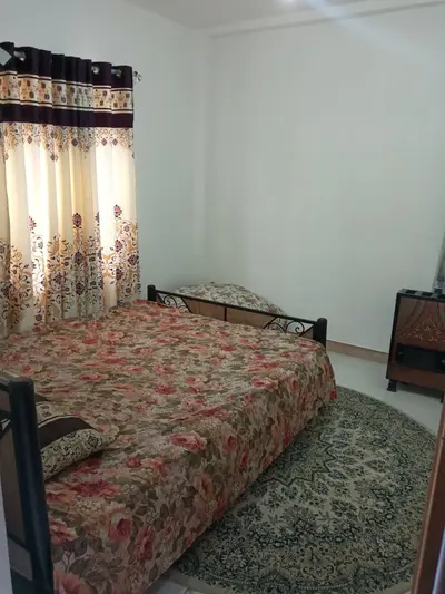 سوئیت دوخوابه درخت بیدلرزان