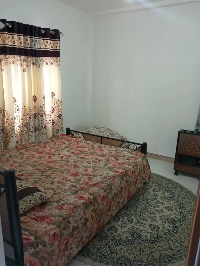 سوئیت دوخوابه درخت بیدلرزان