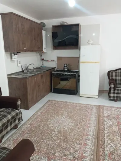 سوئیت دوخوابه درخت بیدلرزان