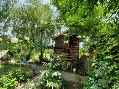 کلبه یک خوابه درختی سرخکلاتپه