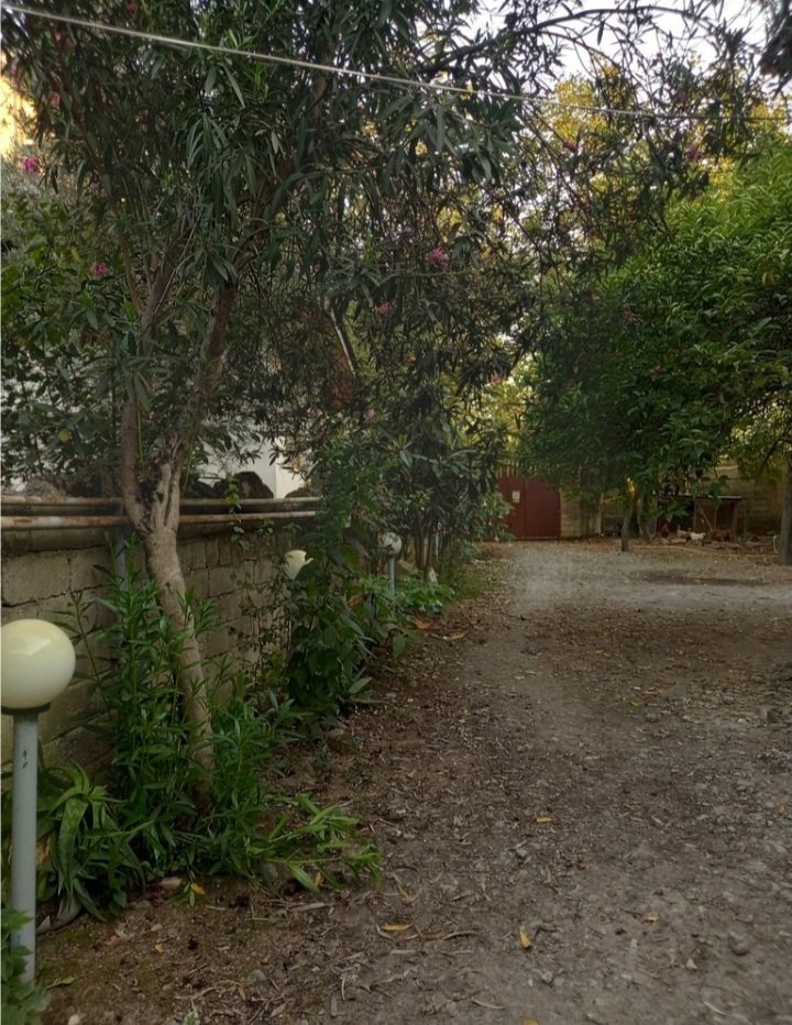 ویلا سوئیت یک خوابه آشیان