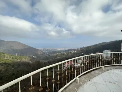 آپارتمان یک خوابه جنگلی چشم‌انداز