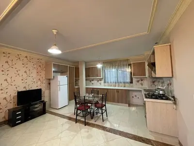 آپارتمان یک خوابه جنگلی چشم انداز ۵