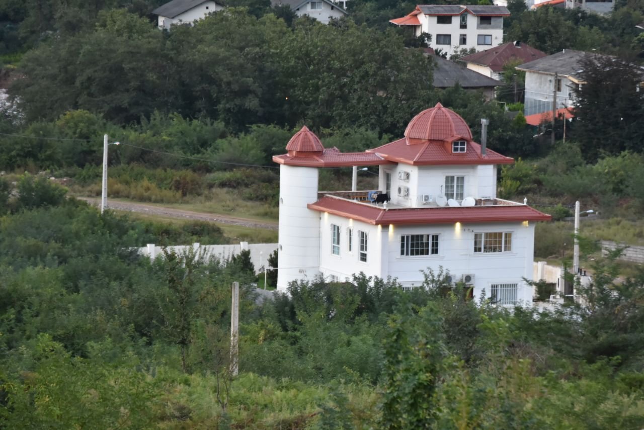 دوخوابه گل سرخ ۲