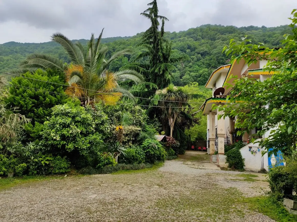 ویلا دوخوابه جنگلی آرامش 4