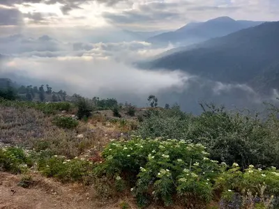 ویلا یک خوابه کوهستانی افرا تخته