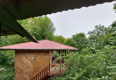 بومگردی چام و چاشت - واحد شوبین