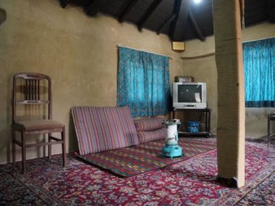 بومگردی یک خوابه پالونیا - واحد همیشه بهار