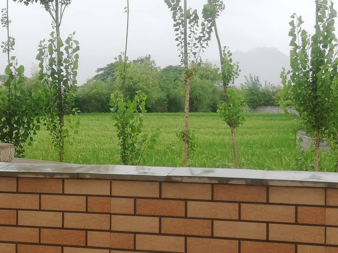 ویلا ویلا استخر آبگرم  امیر