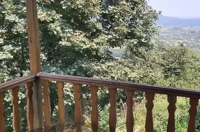 کلبه یک خوابه جنگلی چماز