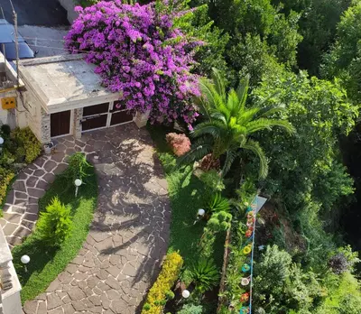 آپارتمان یک خوابه سیدین