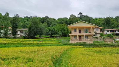 ویلا دوخوابه جنگلی دلاور