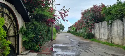 آپارتمان دوخوابه ساحلی خزر پارسا