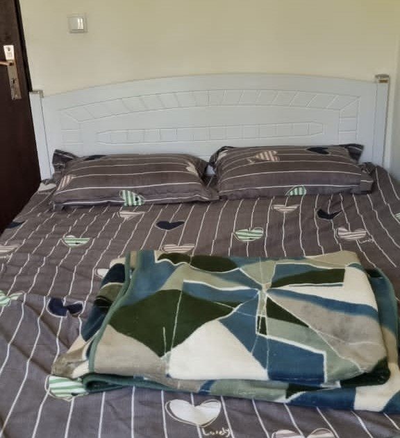 یک خوابه جنگلی بهبود 2