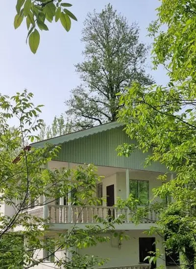 سوئیت یک خوابه جنگلی بهبود 2