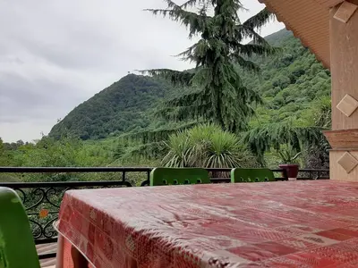 ویلا دوخوابه جنگلی تمشک 1