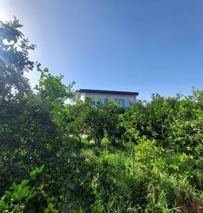 ویلا یک خوابه ساحلی احسان 2