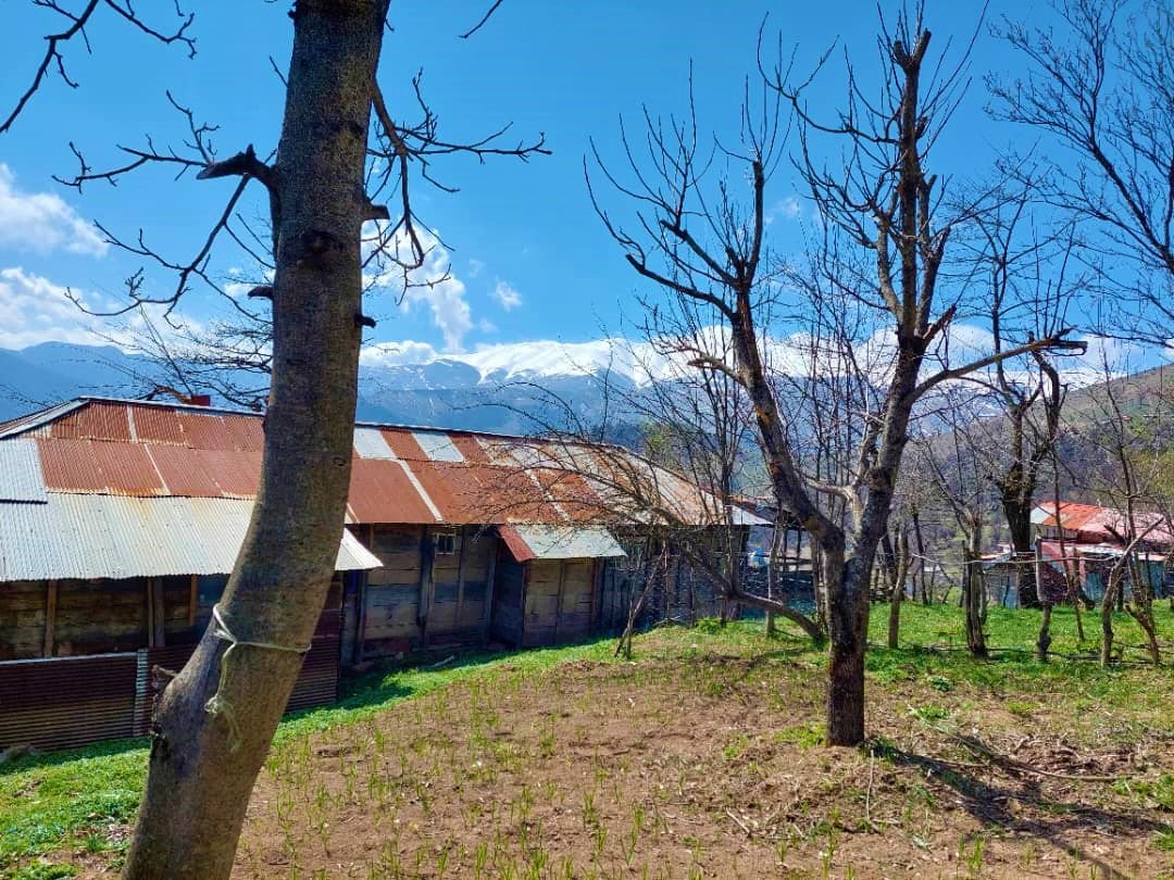 دوخوابه خانه کاشانه حبیب