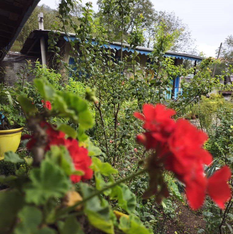 بومگردی میلاش - واحد فندق