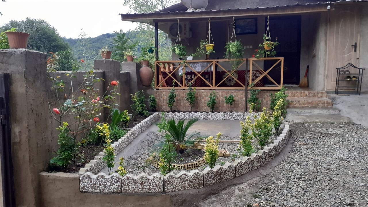 فلت جنگلی پامچال 3