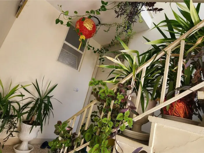 سوئیت یک خوابه رز آریا