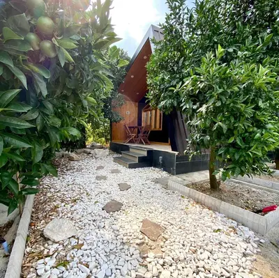 کلبه یک خوابه پرتقال