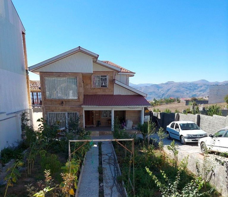 فلت کوهستانی دیلمان