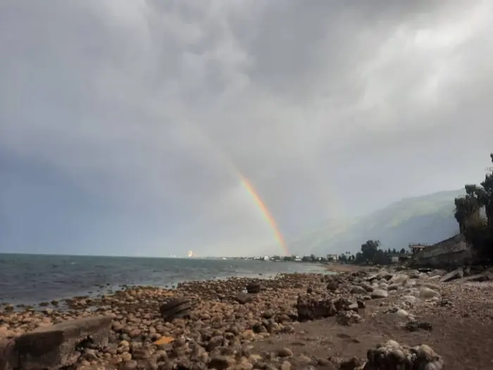 آپارتمان یک خوابه چوبی ساحلی امید