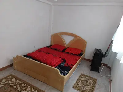 سوئیت یک خوابه جنگلی توتکی