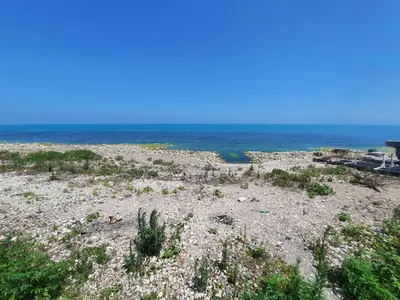 آپارتمان یک خوابه چوبی ساحلی امید