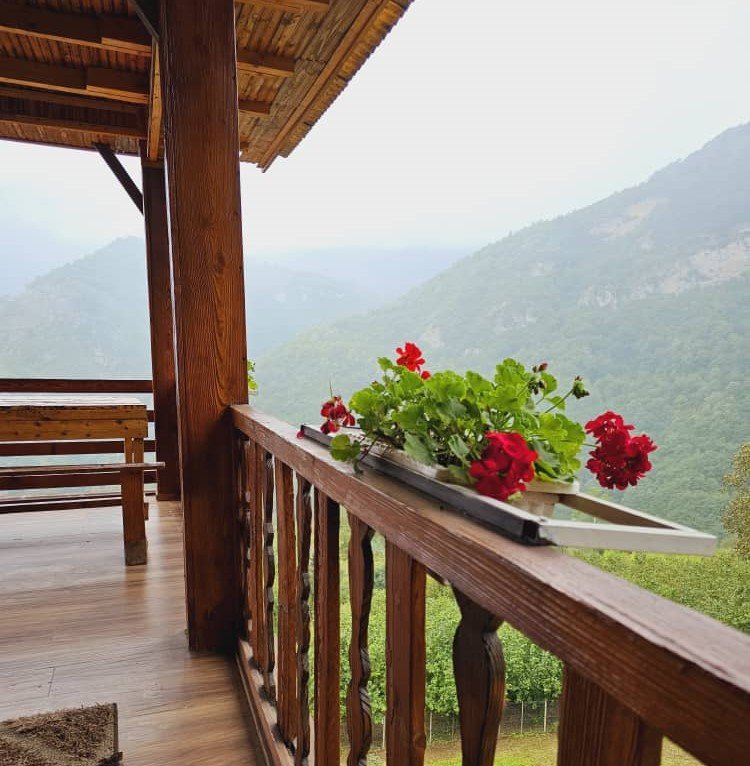 بومگردی میلاش - واحد VIP 1