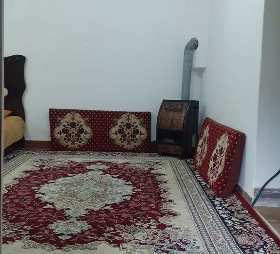 فلت جنگلی پامچال 3