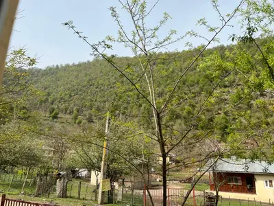 ویلا دوخوابه جنگلی الماس 2