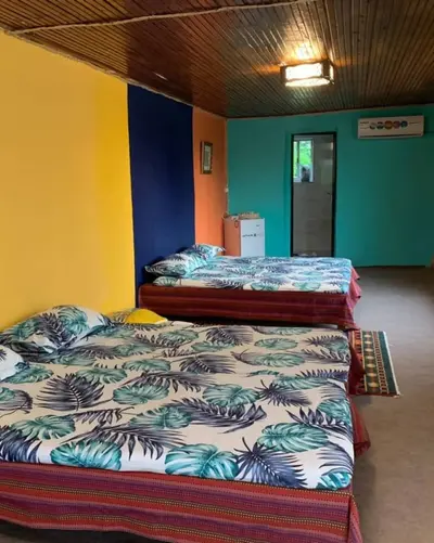 بومگردی نارنجستان شهسوار - واحد ماتیسا