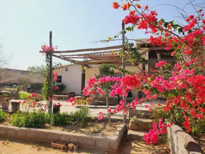 بومگردی طبيعت قشم - واحد گامبرون