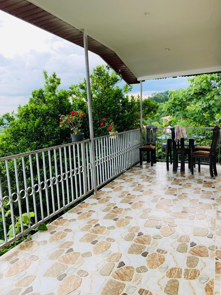 يک خوابه جنگلی شیرین