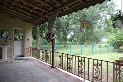 کلبه فلت طبیعت