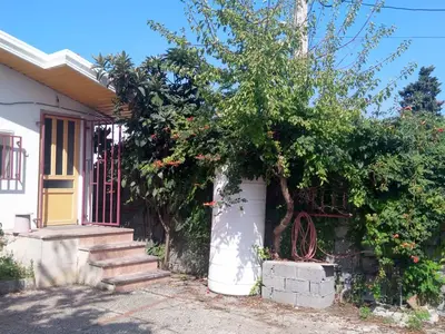 سوئیت فلت جنگلی پامچال 1