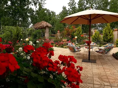 کلبه دوخوابه رزماری