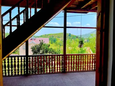 بومگردی می جاقالان - واحد دامون